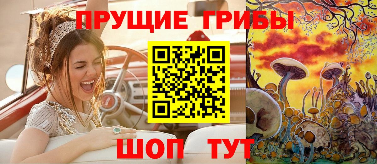 Галлюциногенные грибы Psilocybe  Галлюциногенные грибы GOLDEN TEACHER  Вход с VPN  Пугачёв 
