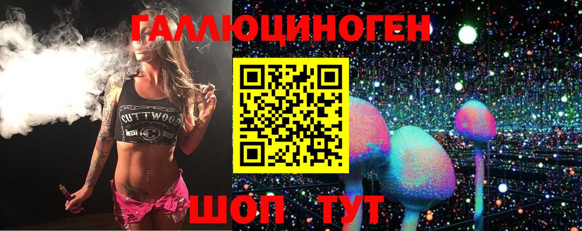 Галлюциногенные грибы Psilocybe Пугачёв
